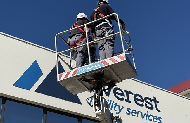 Formación de camión cesta